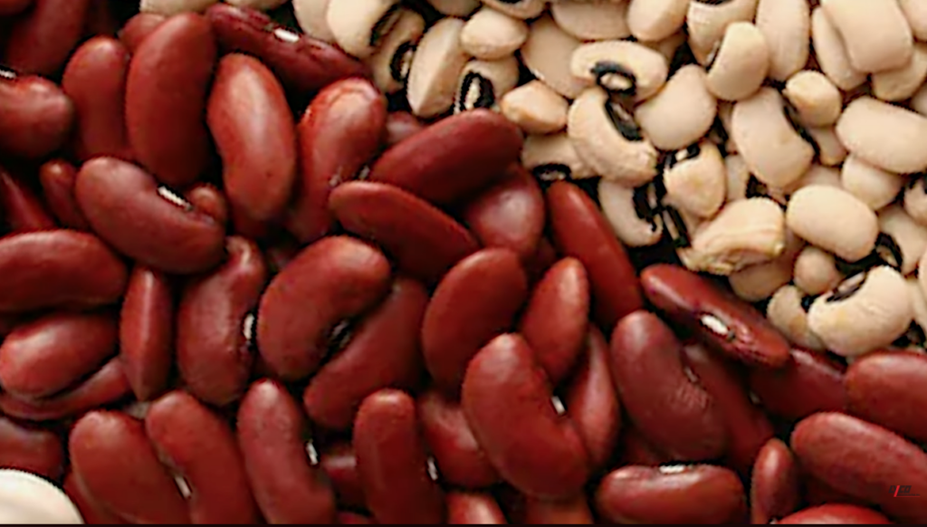improving dry bean processing yield